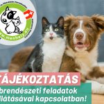 🐕🐱 TÁJÉKOZTATÁS EBRENDÉSZETI FELADATOK ELLÁTÁSÁVAL KAPCSOLATBAN!