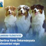 LAKOSSÁGI TÁJÉKOZTATÁS - EBÖSSZEÍRÁS
