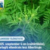 📢 Lakossági Tájékoztatás – 2025. szeptember 4-én (csütörtökön), parlagfű ellenőrzés lesz Albertirsán