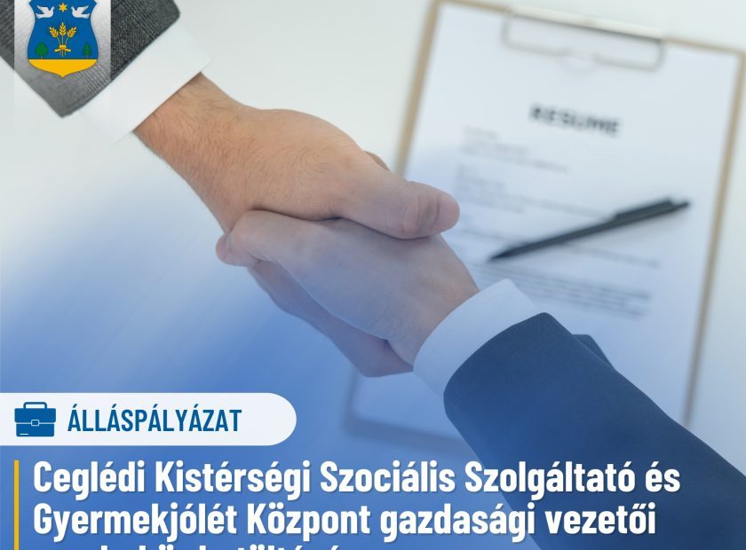 Álláspályázat – Gazdasági vezető (002)