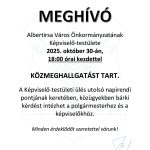 Közmeghallgatás