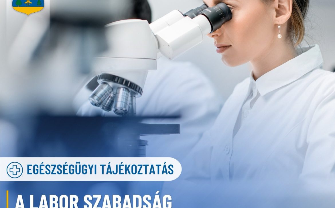 labor_szabadsag