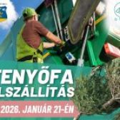 📣🌲♻️ EMLÉKEZTETŐ – TÁJÉKOZTATÁS A KARÁCSONYI FENYŐFÁK ELSZÁLLÍTÁSÁRÓL